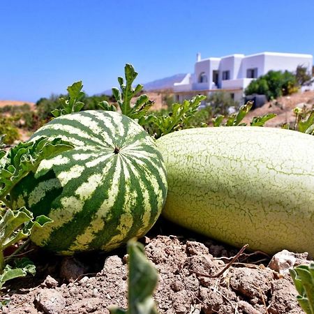 Relaxia Estate Naxos Leilighet Galini  Eksteriør bilde