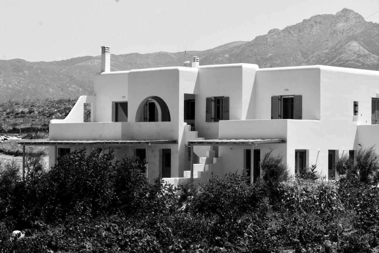 Relaxia Estate Naxos Leilighet Galini  Eksteriør bilde